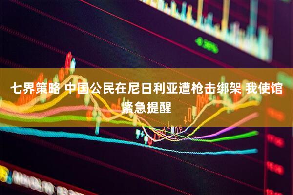 七界策略 中国公民在尼日利亚遭枪击绑架 我使馆紧急提醒