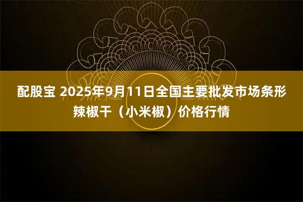 配股宝 2025年9月11日全国主要批发市场条形辣椒干（小米椒）价格行情