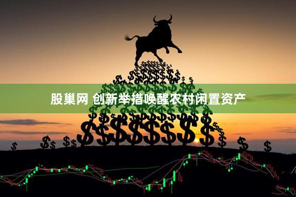 股巢网 创新举措唤醒农村闲置资产