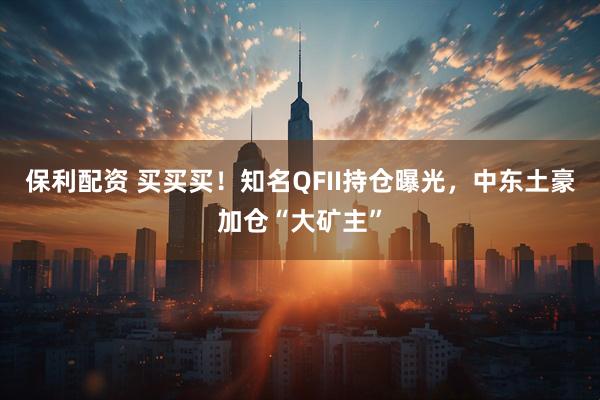 保利配资 买买买！知名QFII持仓曝光，中东土豪加仓“大矿主”