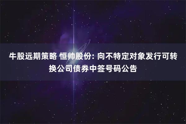 牛股远期策略 恒帅股份: 向不特定对象发行可转换公司债券中签号码公告