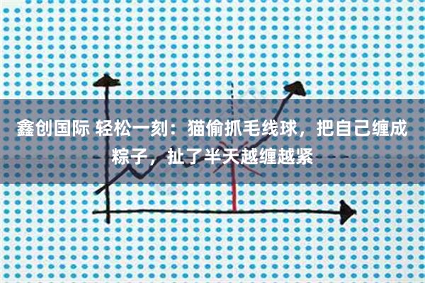 鑫创国际 轻松一刻：猫偷抓毛线球，把自己缠成粽子，扯了半天越缠越紧