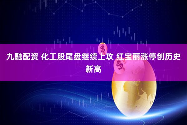 九融配资 化工股尾盘继续上攻 红宝丽涨停创历史新高