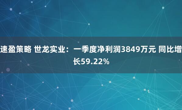 速盈策略 世龙实业：一季度净利润3849万元 同比增长59.22%