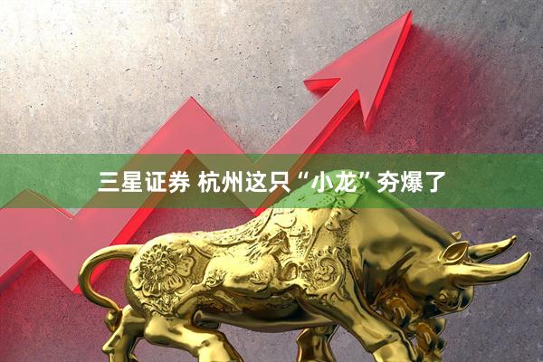 三星证券 杭州这只“小龙”夯爆了