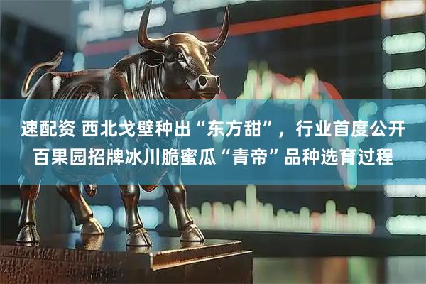 速配资 西北戈壁种出“东方甜”，行业首度公开百果园招牌冰川脆蜜瓜“青帝”品种选育过程